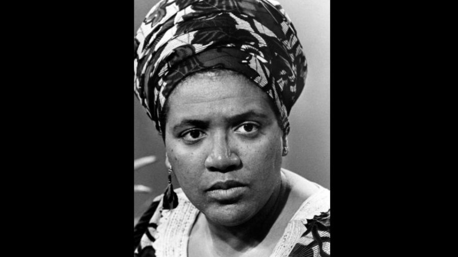Audre Lourde and Her Fight Against Injustice