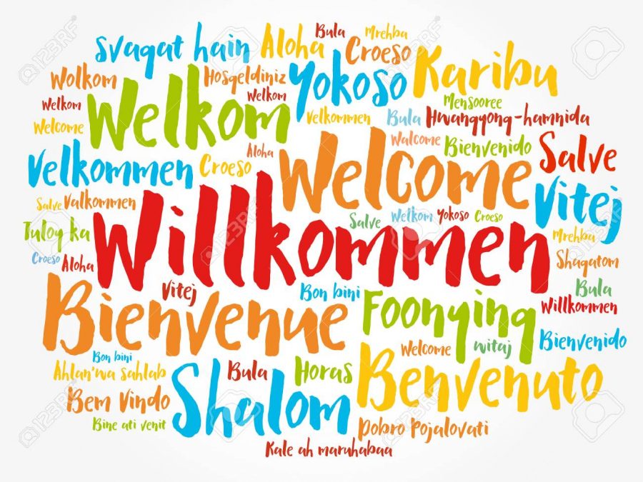 ELL Student Challenges And Experience The Lion s Roar ell-student-challenges-and-experience-the-lion-s-roar
