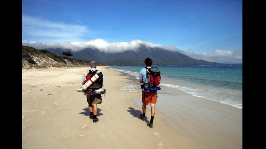 Mass Whale Stranding: 200 Whales Die on Coast of Tasmanian Beach