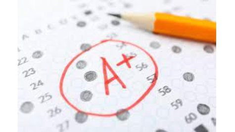 how does the amount of homework affect students Bi-weekly Feature 2/3