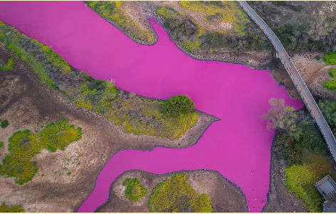 Extreme drought turns Hawaiian pond bright pink