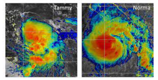 POST-TROPICAL CYCLONE TAMMY